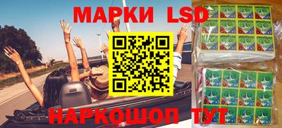 mdpv Гатчина