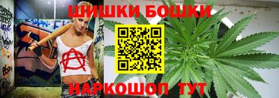mdpv Гатчина