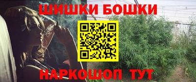 винт Гай