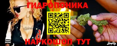 винт Гай